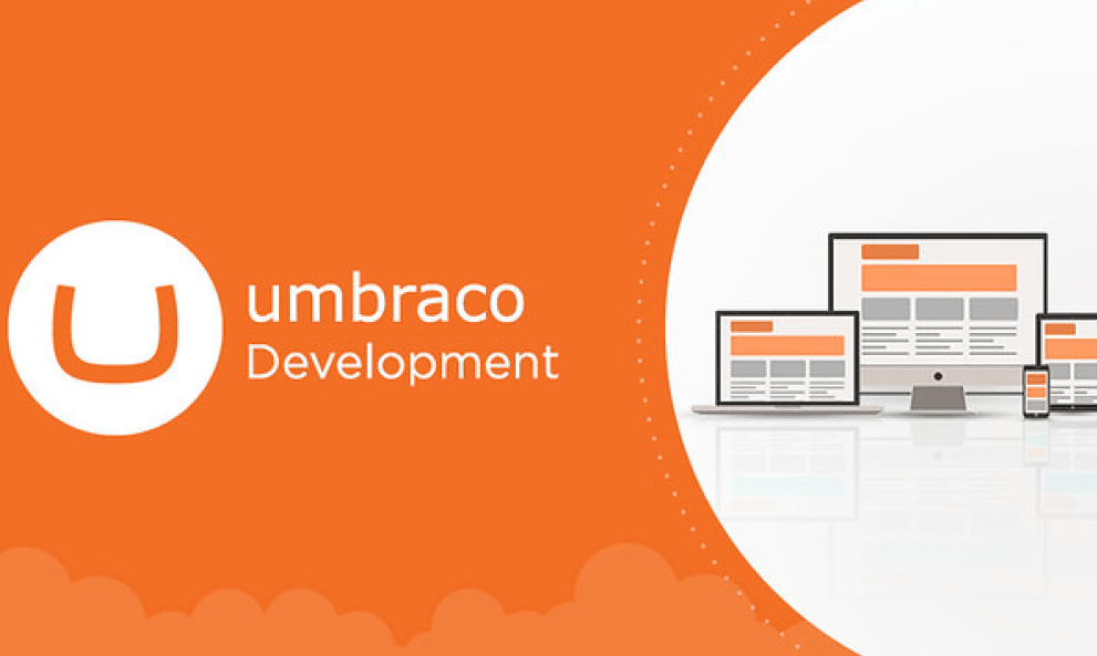 Umbraco Development