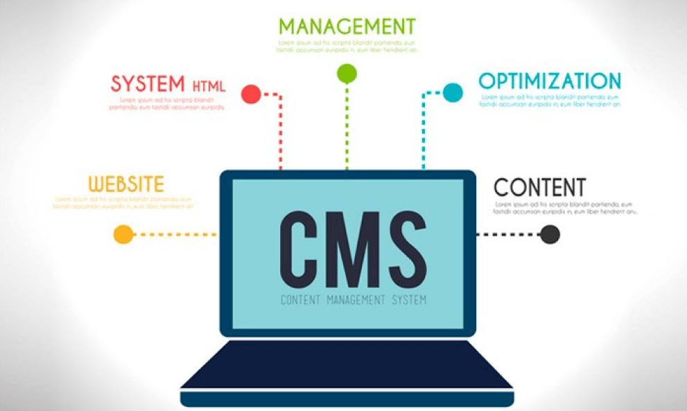 Web & CMS Development